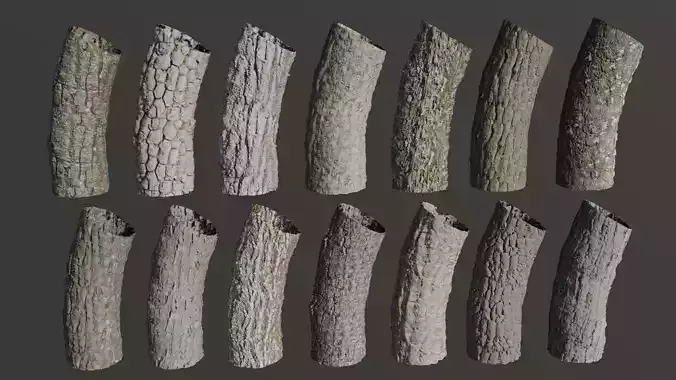 Tree Bark Textures Texture