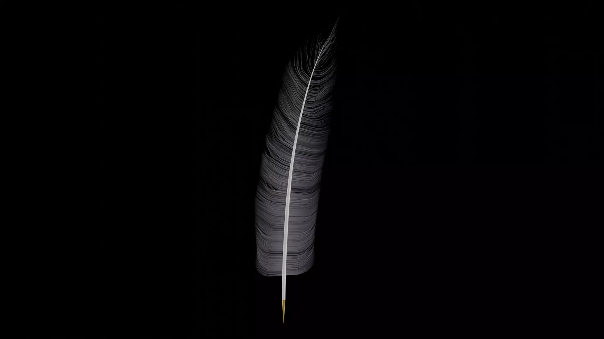 Feather Quill 3D model_0