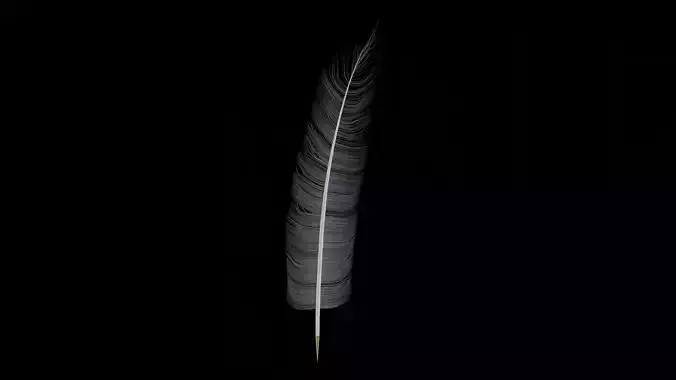 Feather Quill