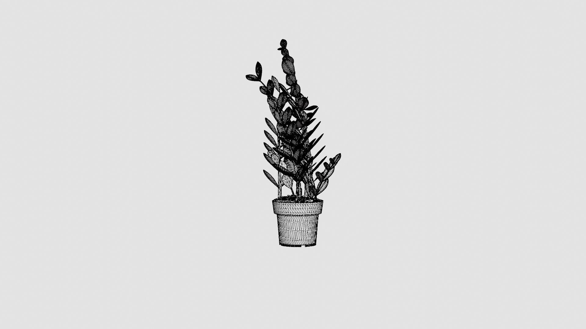 Zamioculcas zamiifolia Low-poly 3D model_8