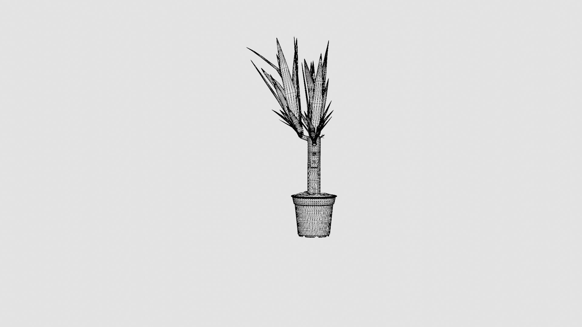 Yucca elephantipes single stem Low-poly 3D model_8