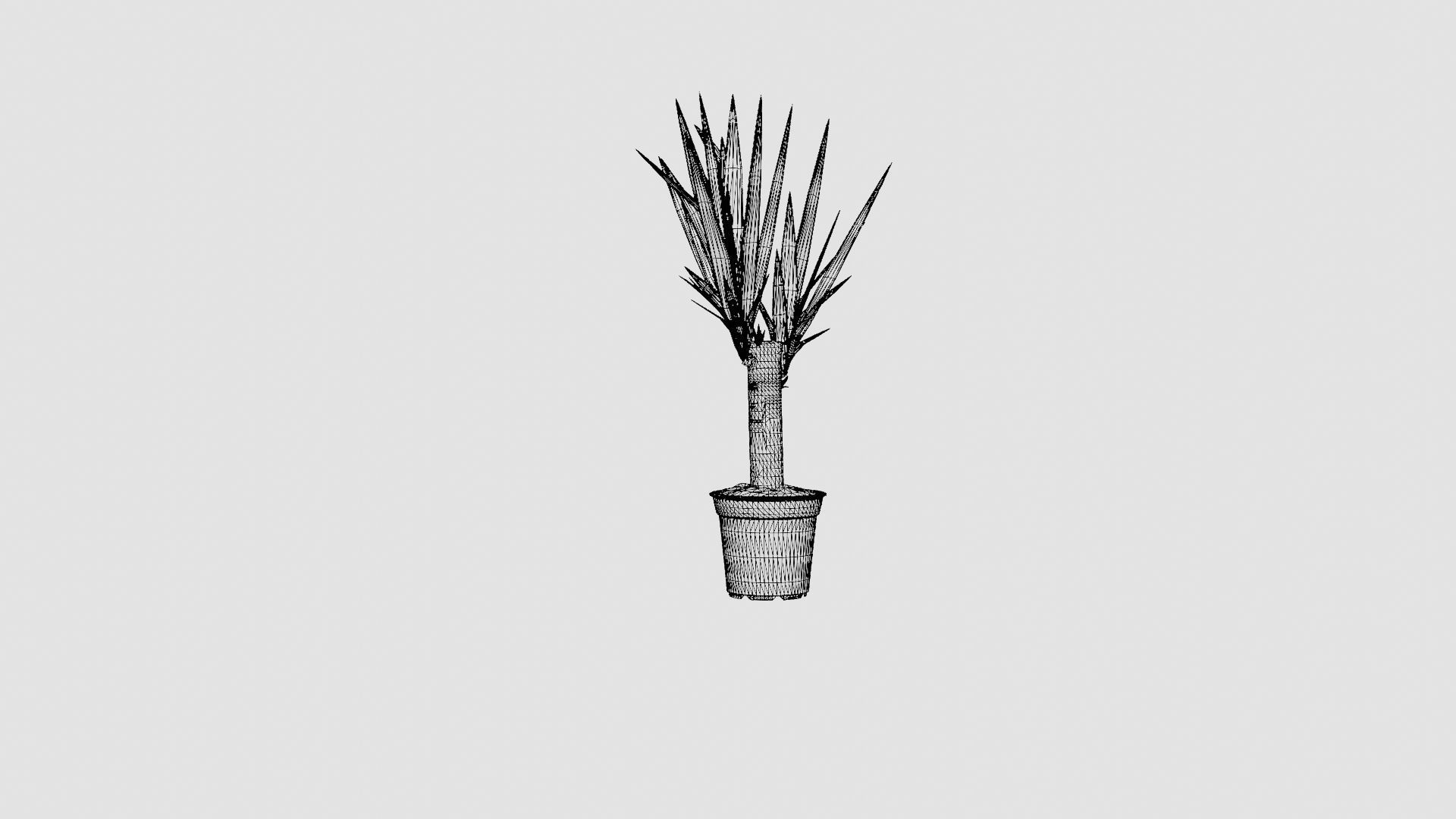 Yucca elephantipes single stem Low-poly 3D model_7