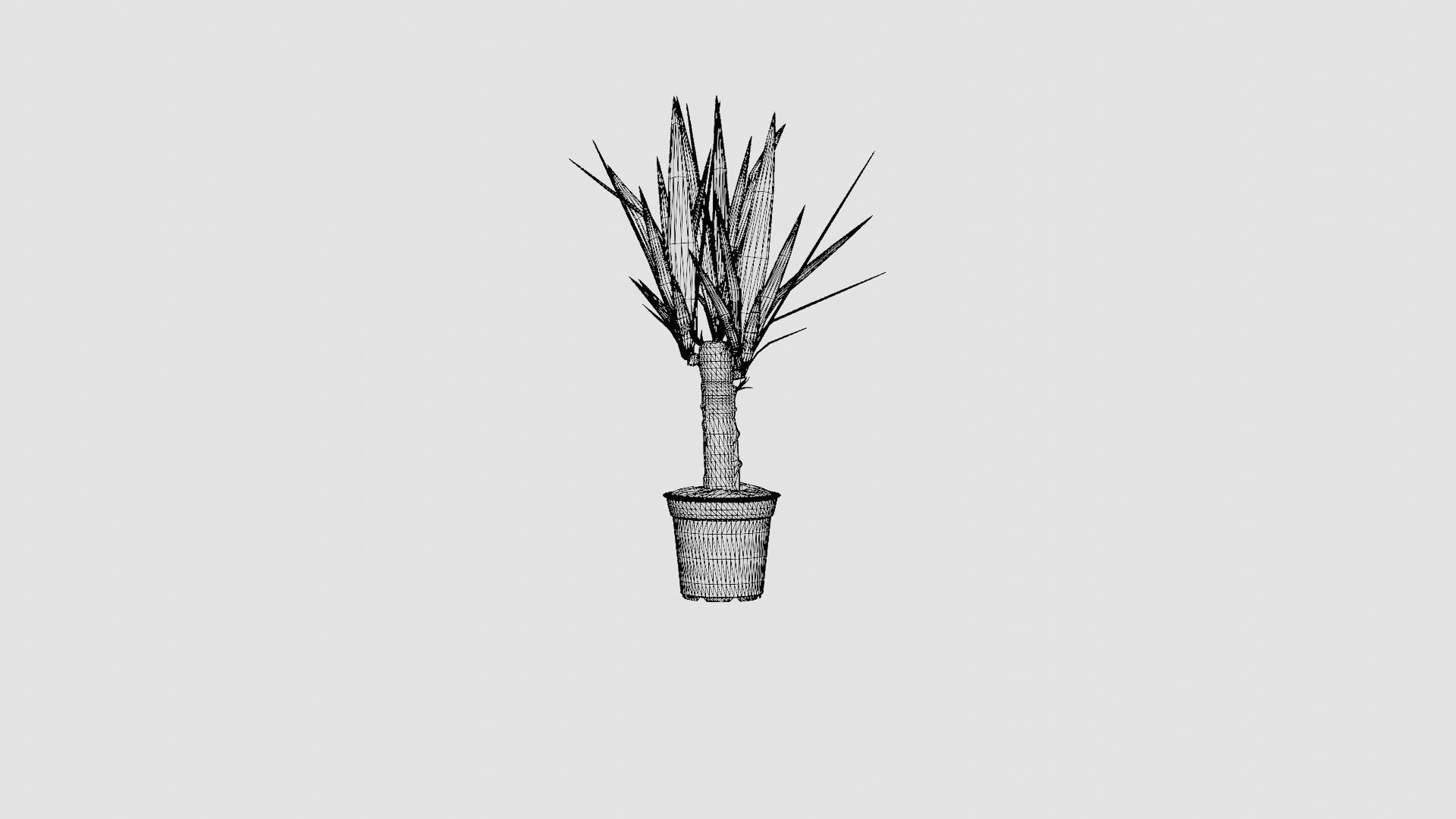 Yucca elephantipes single stem Low-poly 3D model_6