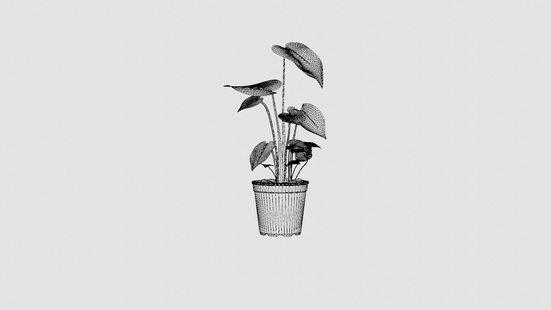 Monstera deliciosa Low-poly 3D model_6