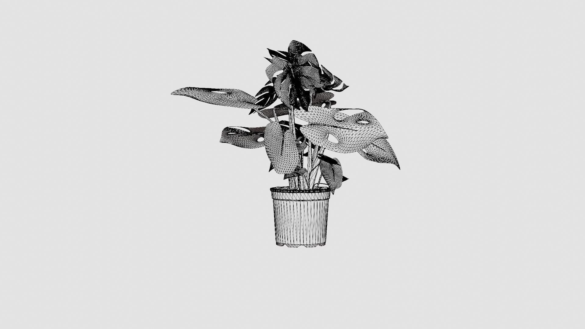 Monstera del touffe Low-poly 3D model_7