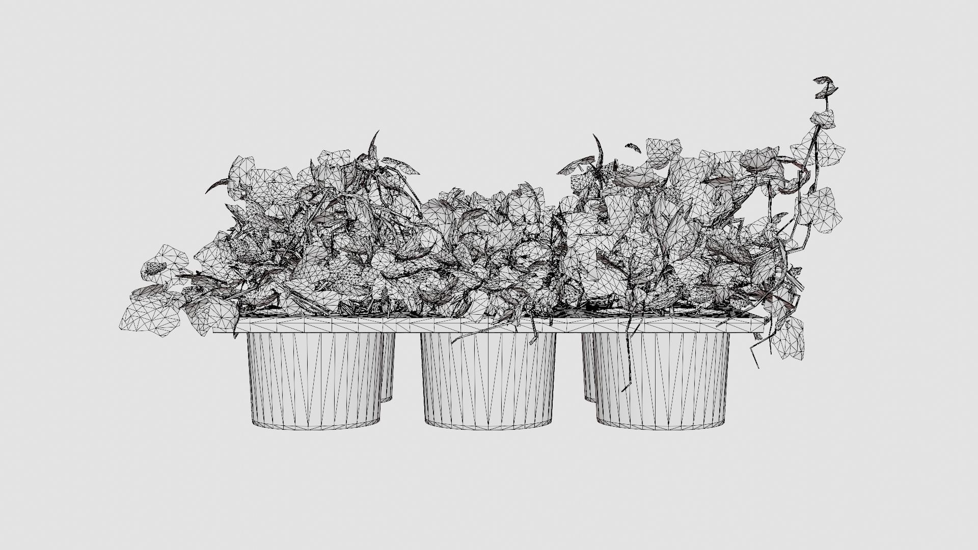 Hedera helix Low-poly 3D model_6