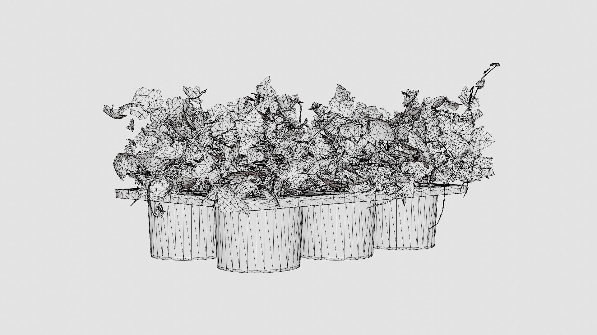 Hedera helix Low-poly 3D model_7