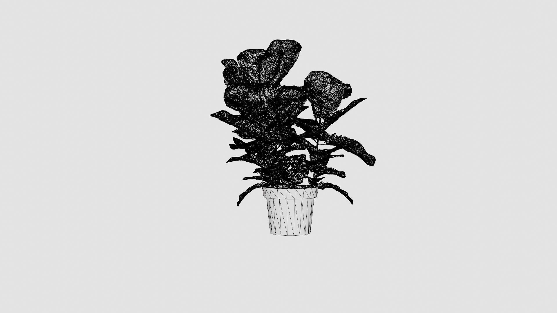 Ficus lyrate Low-poly 3D model_7