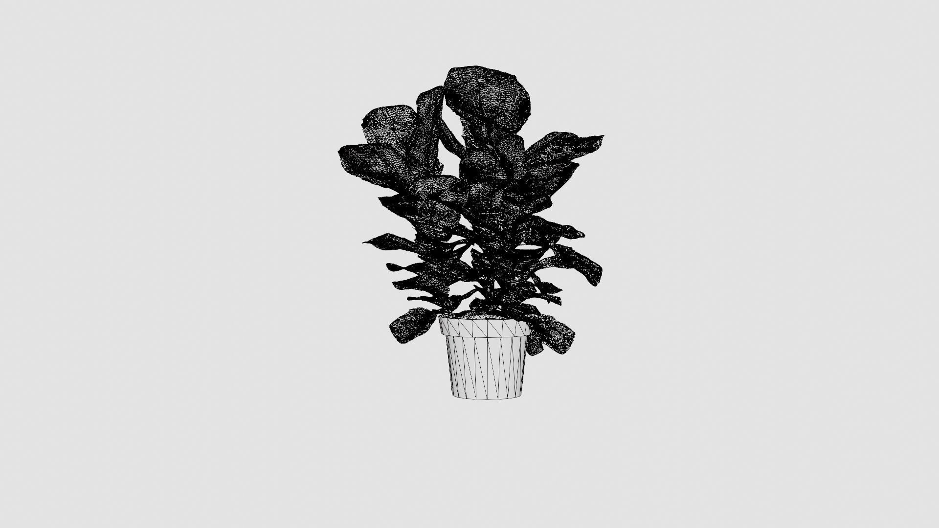 Ficus lyrate Low-poly 3D model_6