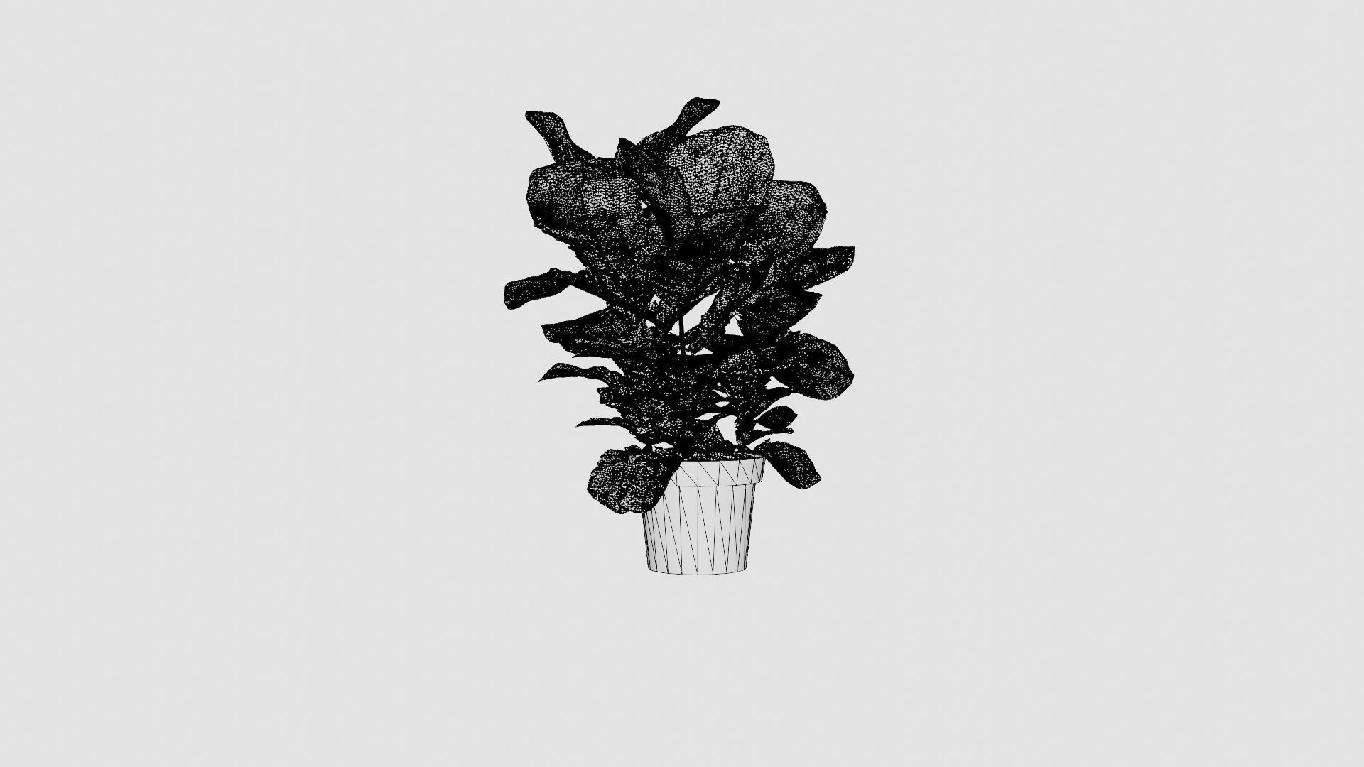 Ficus lyrate Low-poly 3D model_8