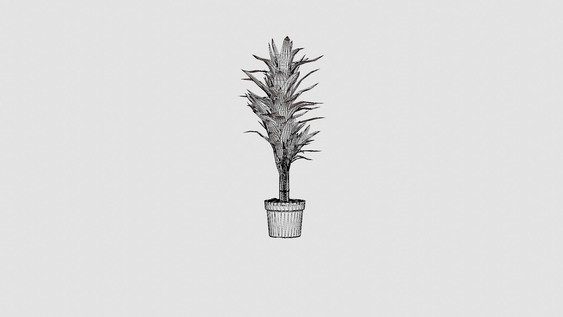 Dracaena Janet Lind Low-poly 3D model_8
