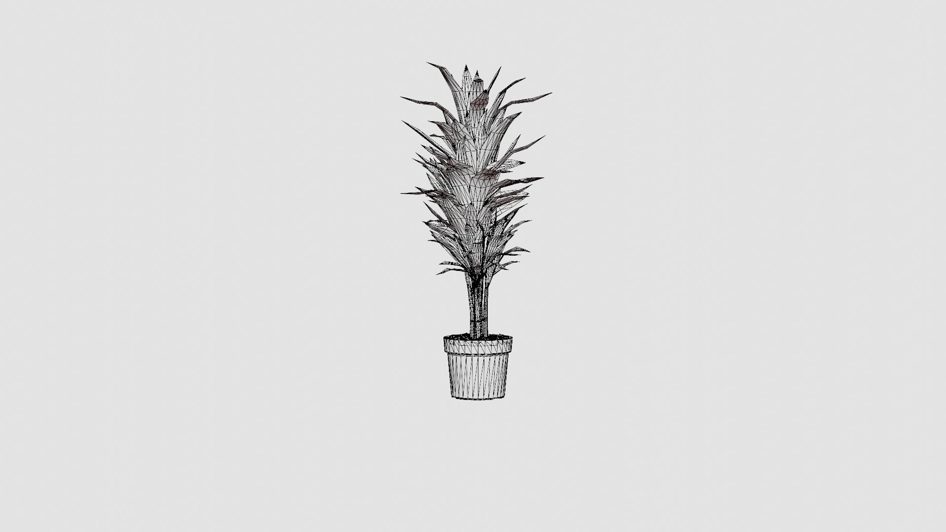 Dracaena Janet Lind Low-poly 3D model_7