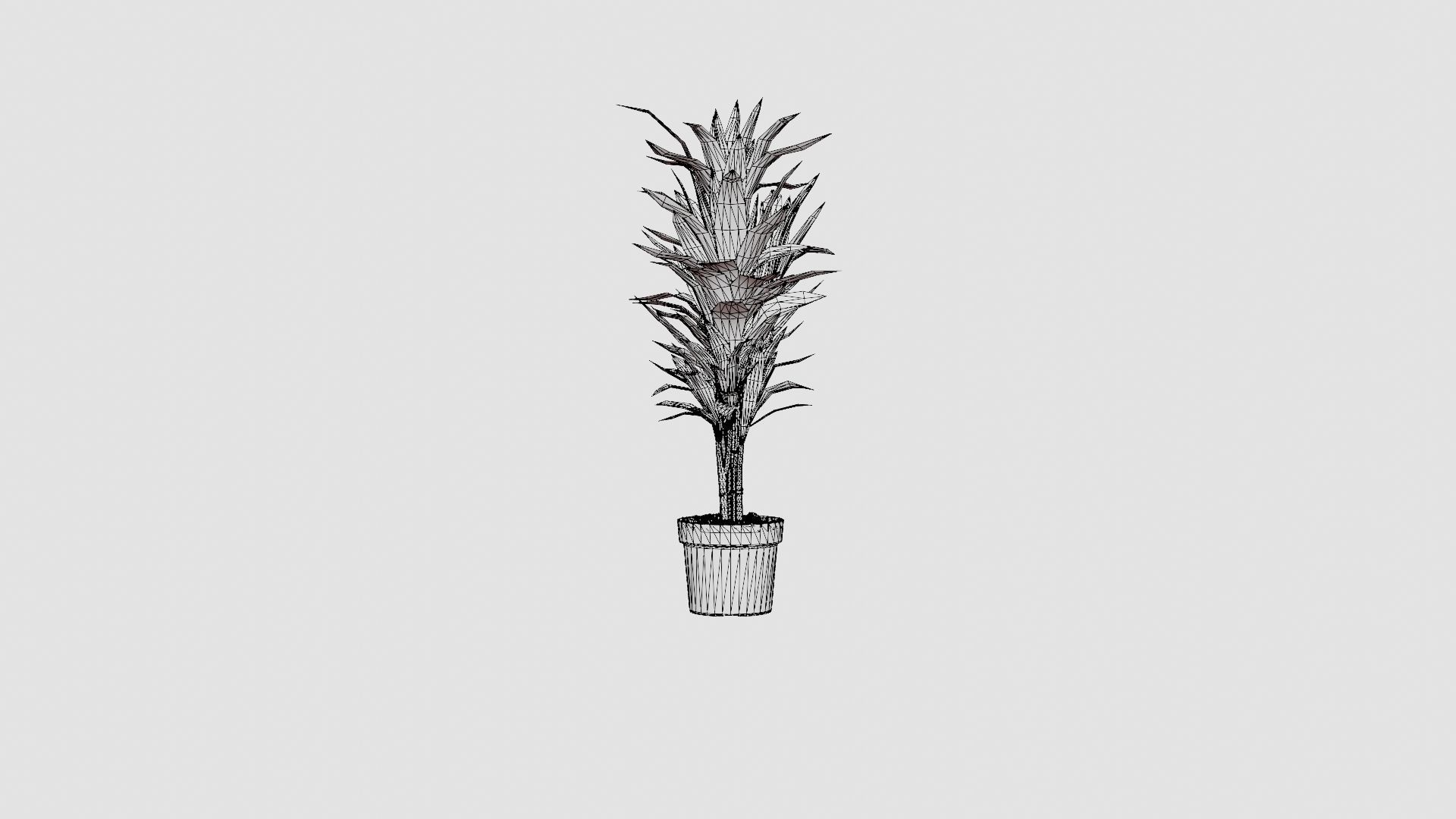 Dracaena Janet Lind Low-poly 3D model_6