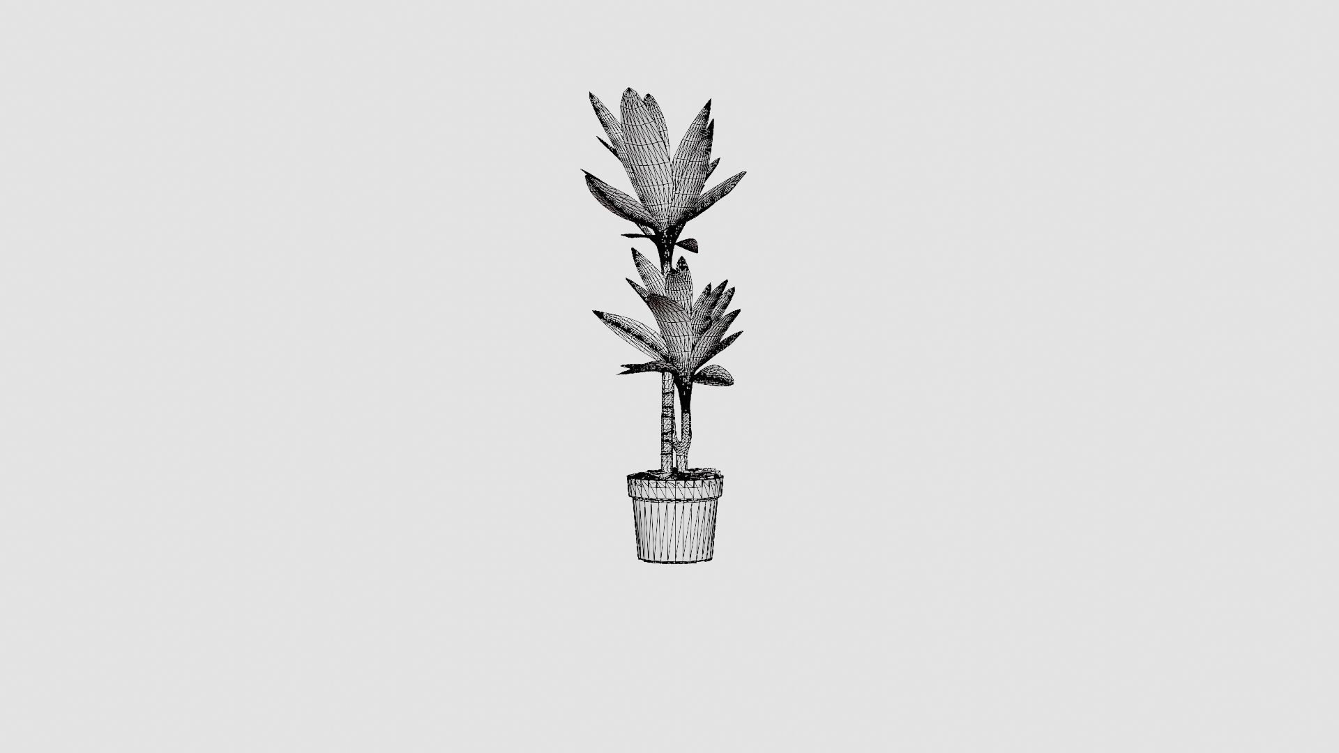 Dracaena Janet Lind Low-poly 3D model_7