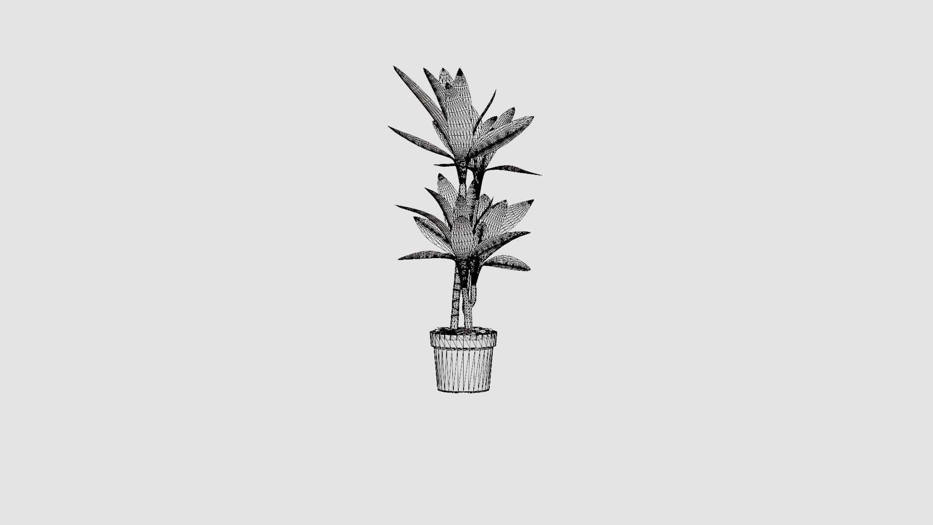 Dracaena Janet Lind Low-poly 3D model_6