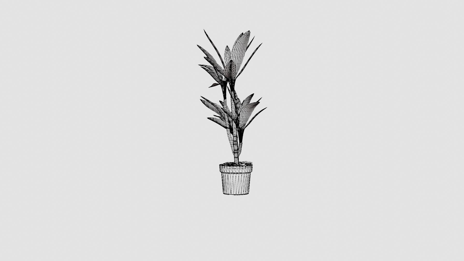 Dracaena Janet Lind Low-poly 3D model_8