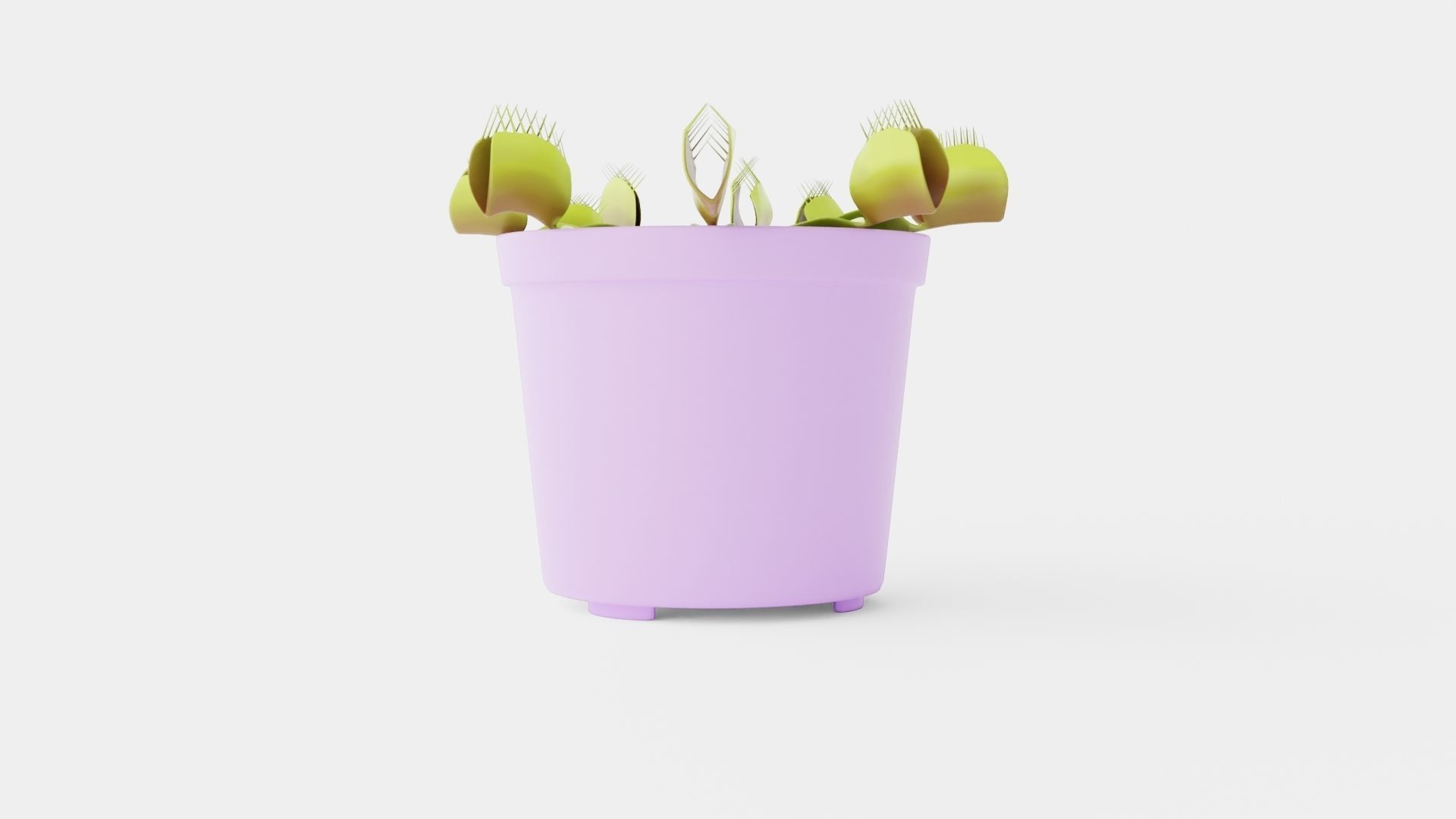 Dionaea muscipula Low-poly 3D model_4