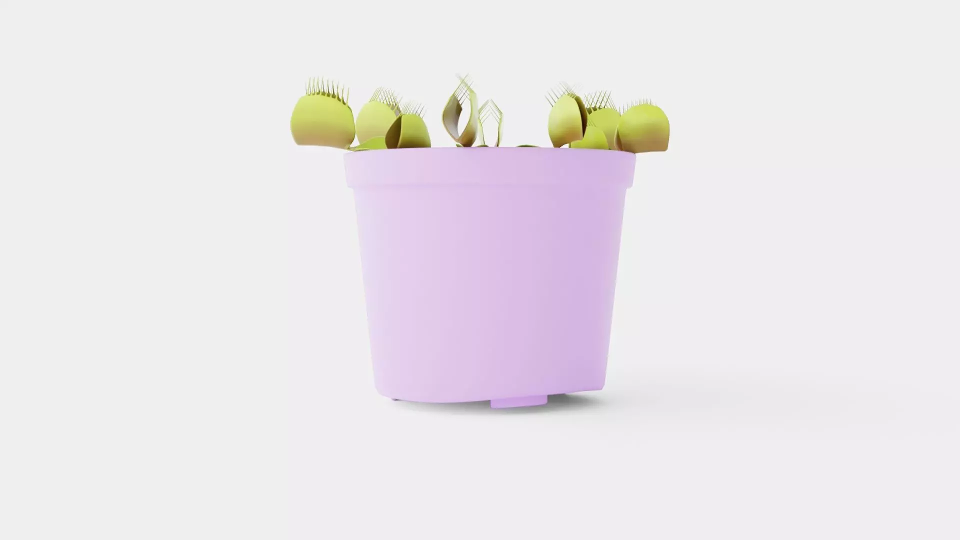 Dionaea muscipula Low-poly 3D model_0