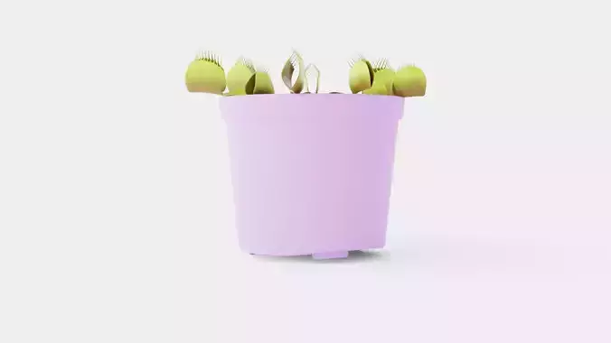 Dionaea muscipula Low-poly 3D model
