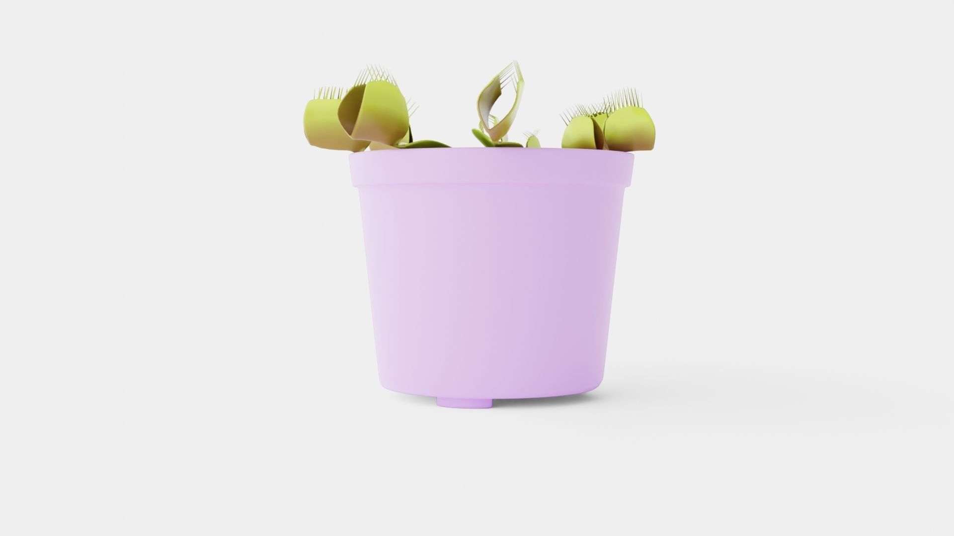 Dionaea muscipula Low-poly 3D model_2
