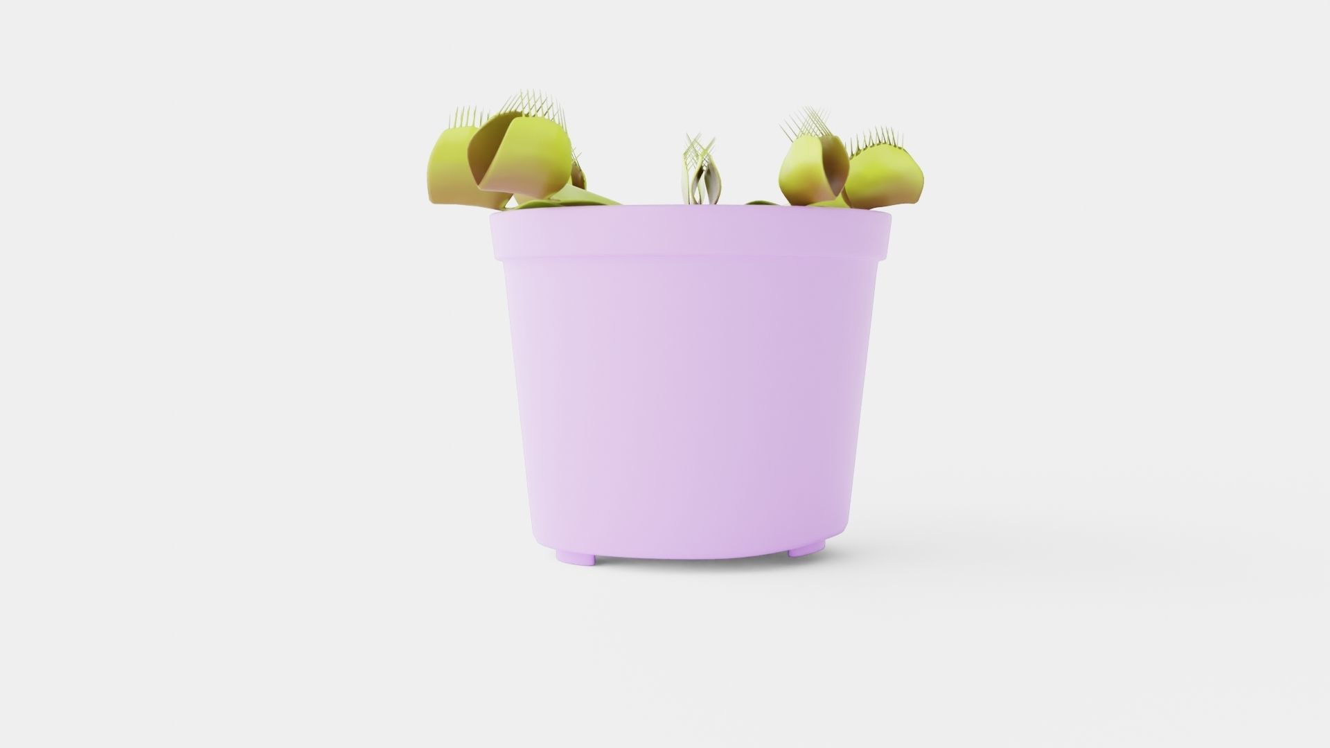 Dionaea muscipula Low-poly 3D model_1
