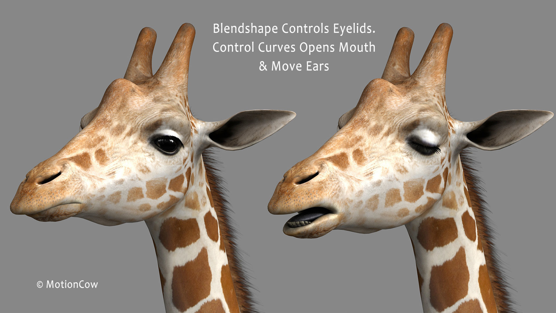 Giraffe PRO 3D model_9