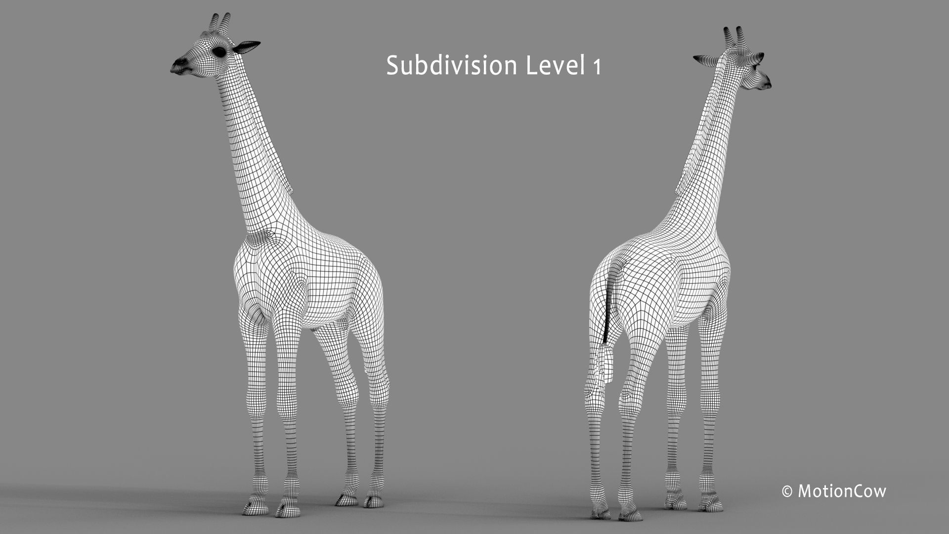 Giraffe PRO 3D model_17