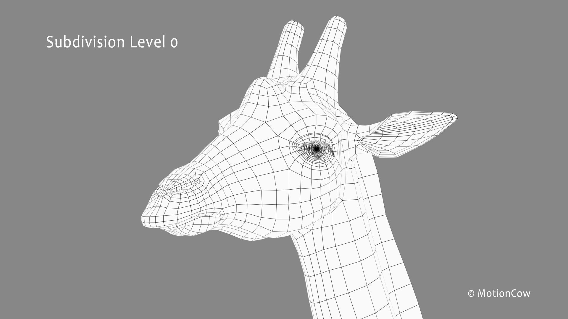 Giraffe PRO 3D model_18
