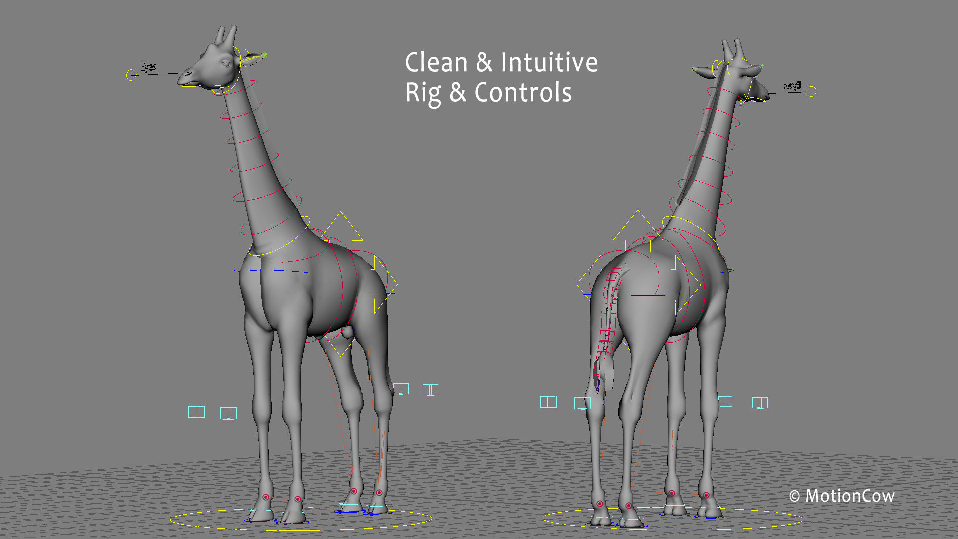 Giraffe PRO 3D model_15