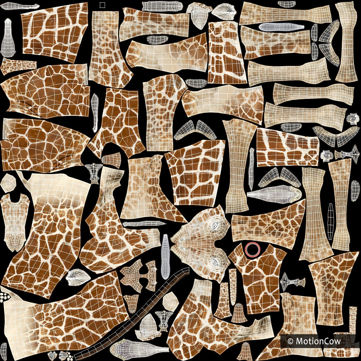 Giraffe PRO 3D model_20