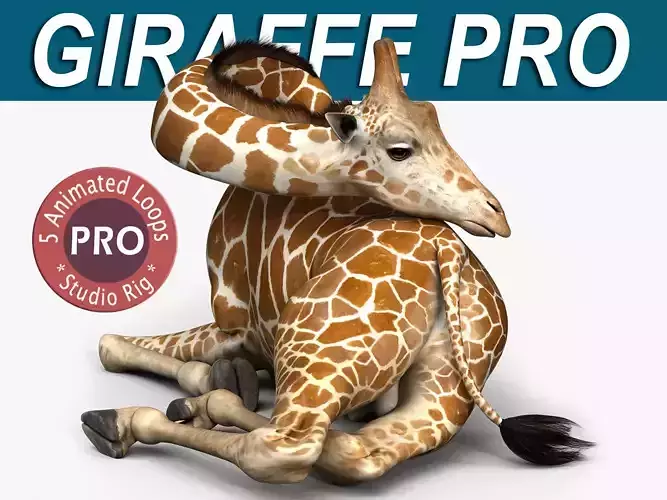 Giraffe PRO 3D model