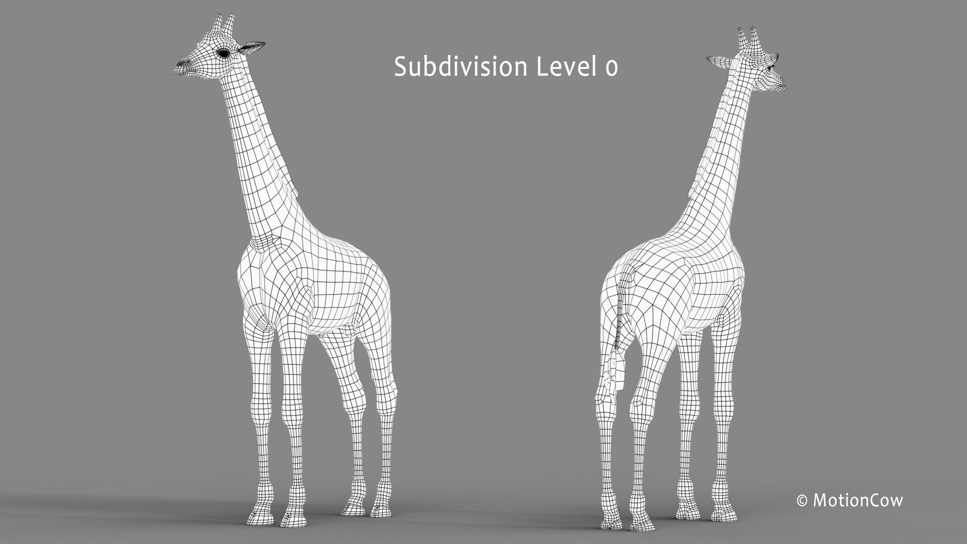Giraffe PRO 3D model_16