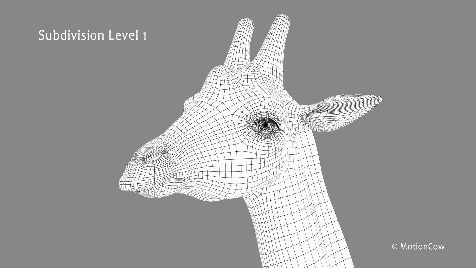 Giraffe PRO 3D model_19