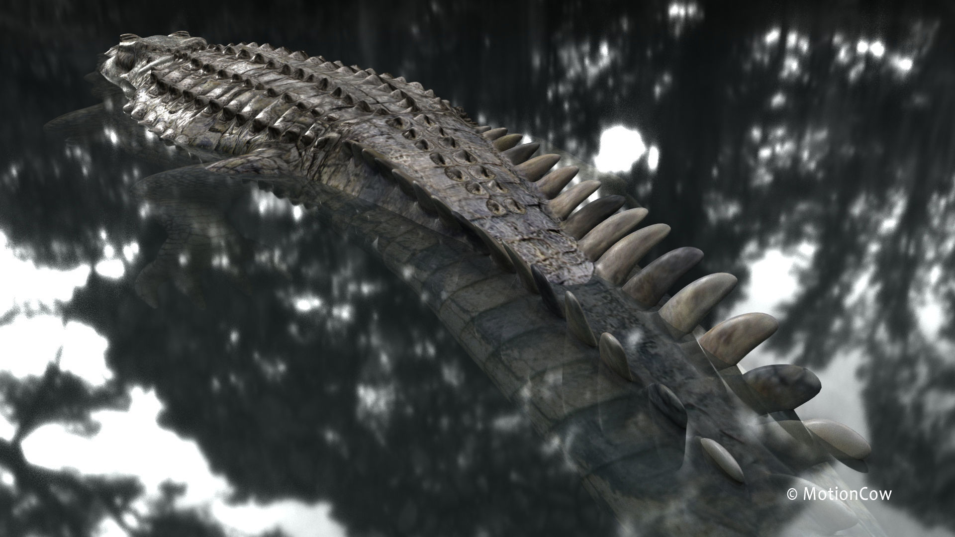 Crocodile PRO 3D model_16