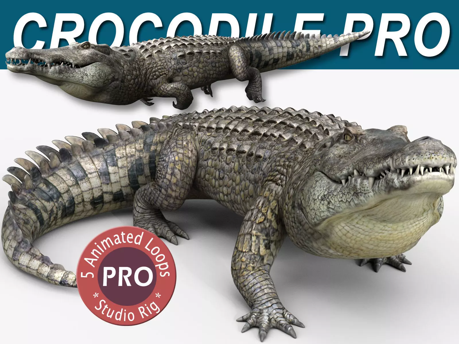 Crocodile PRO 3D model_0