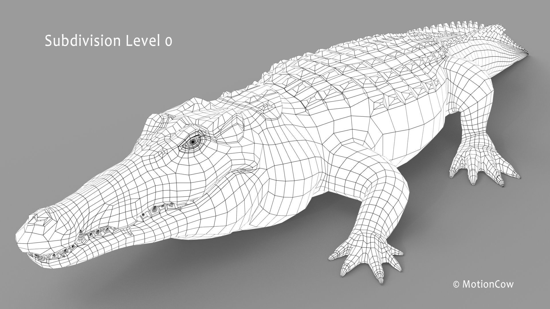 Crocodile PRO 3D model_27