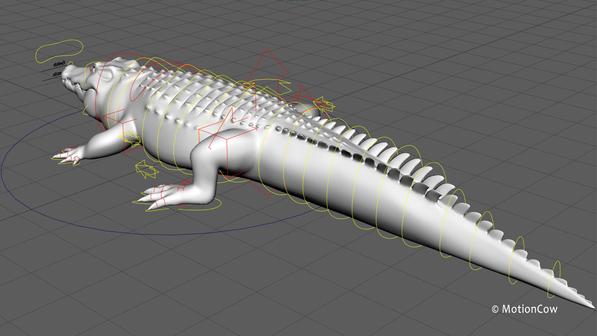 Crocodile PRO 3D model_26