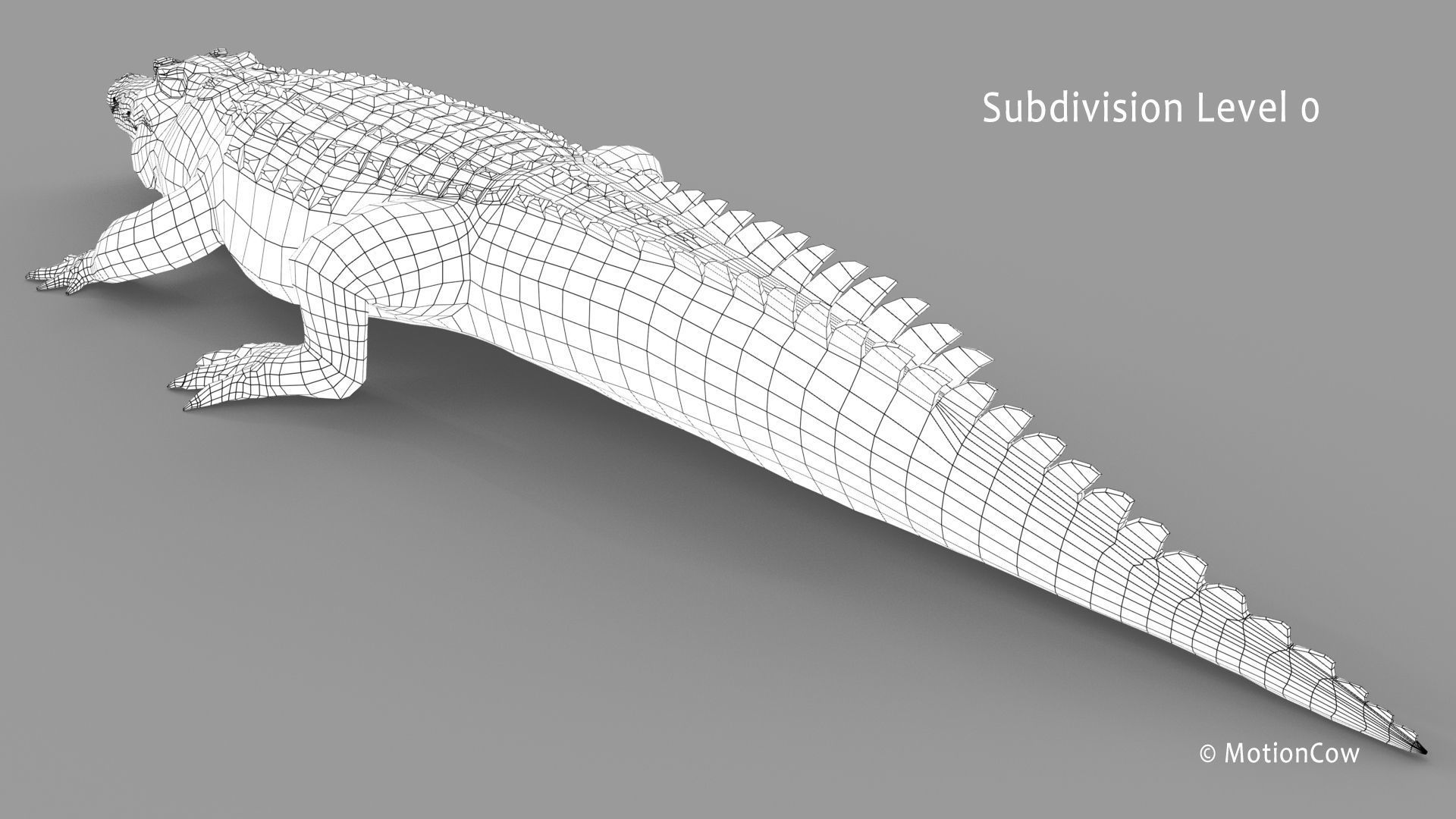 Crocodile PRO 3D model_29