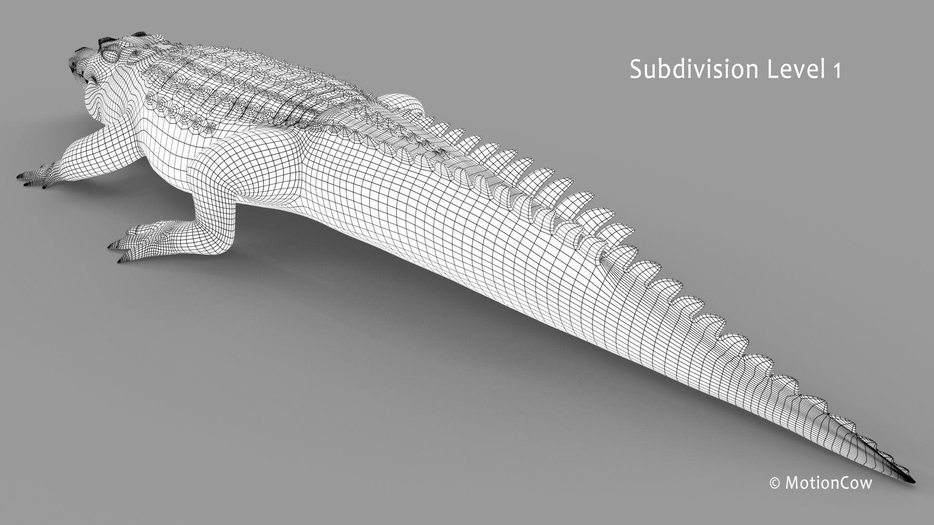 Crocodile PRO 3D model_30