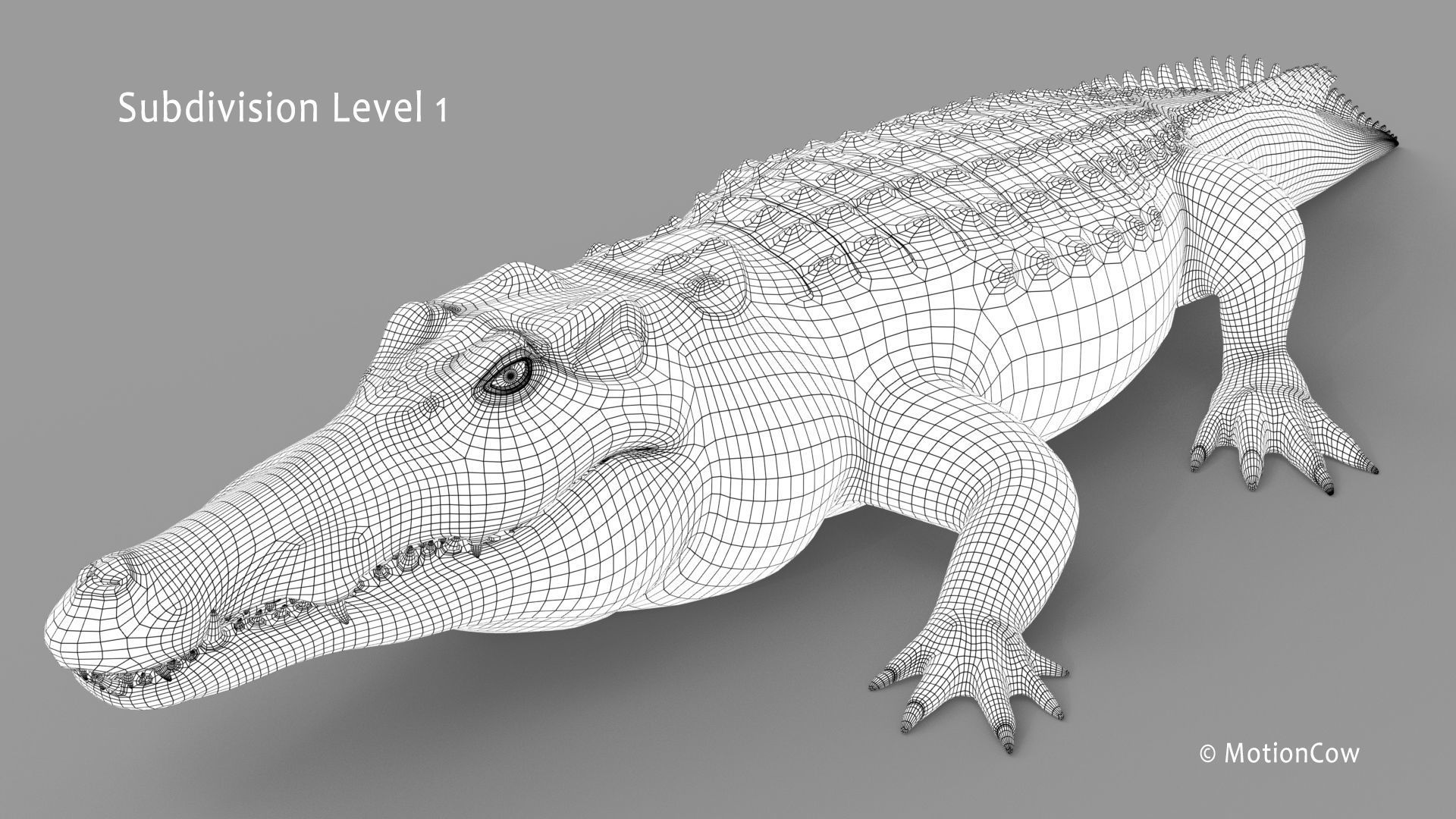Crocodile PRO 3D model_28
