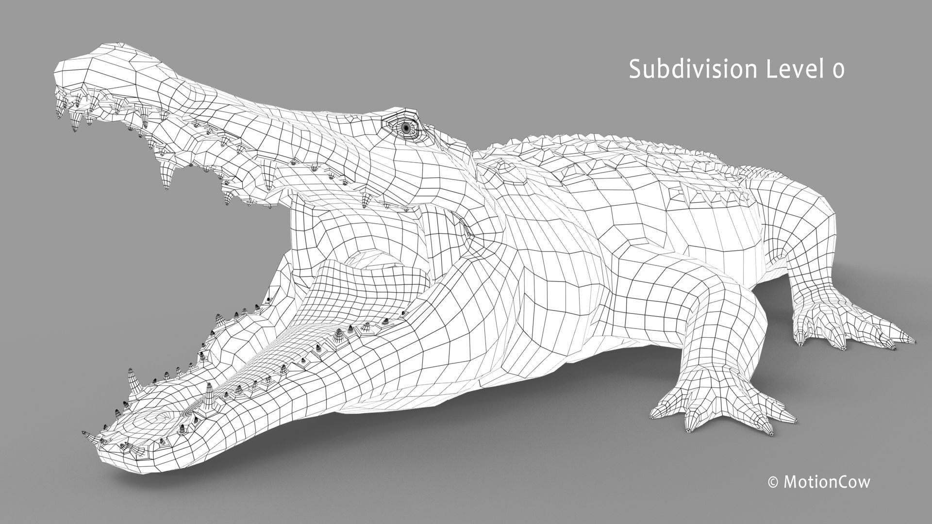 Crocodile PRO 3D model_31