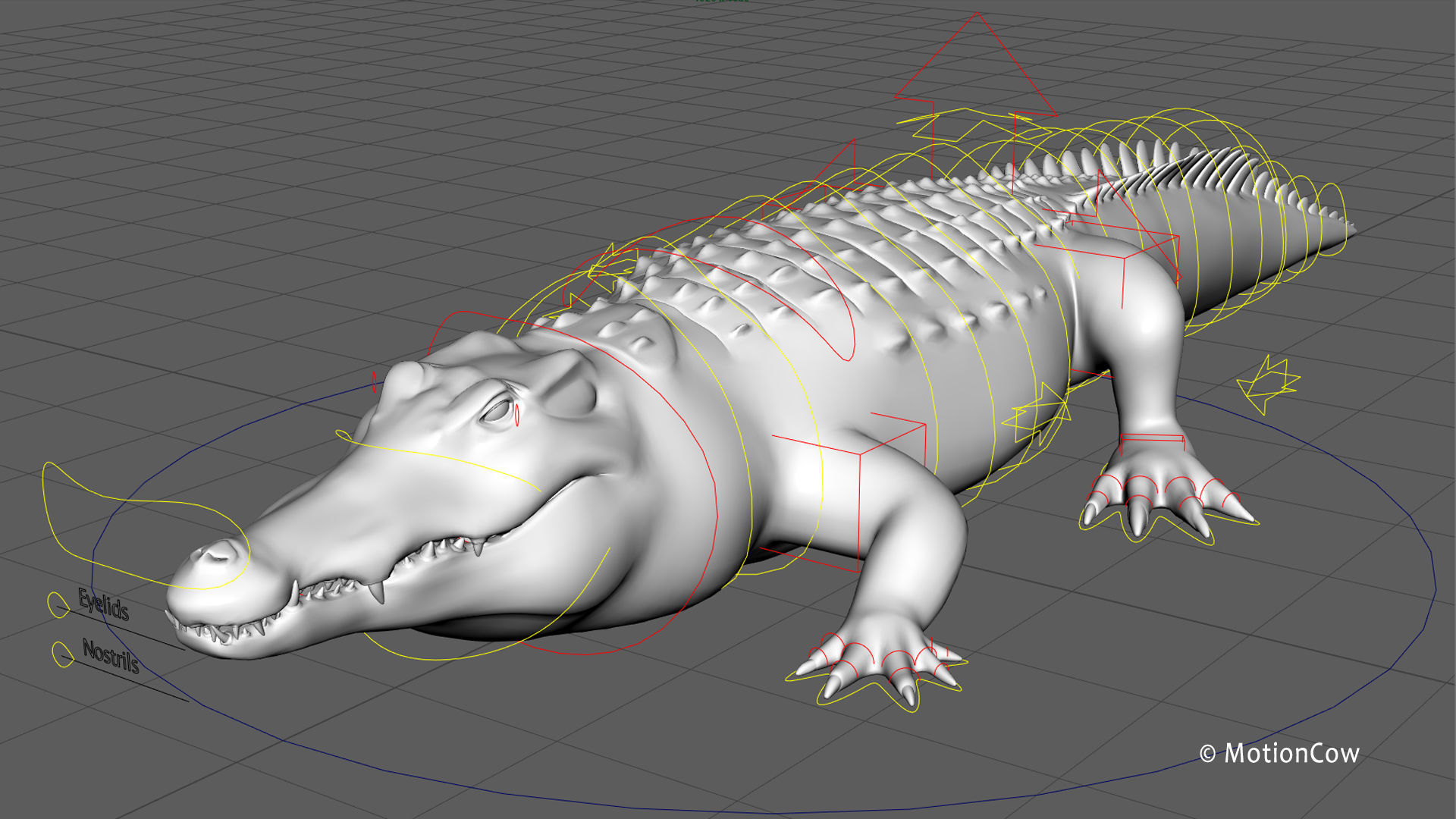 Crocodile PRO 3D model_25