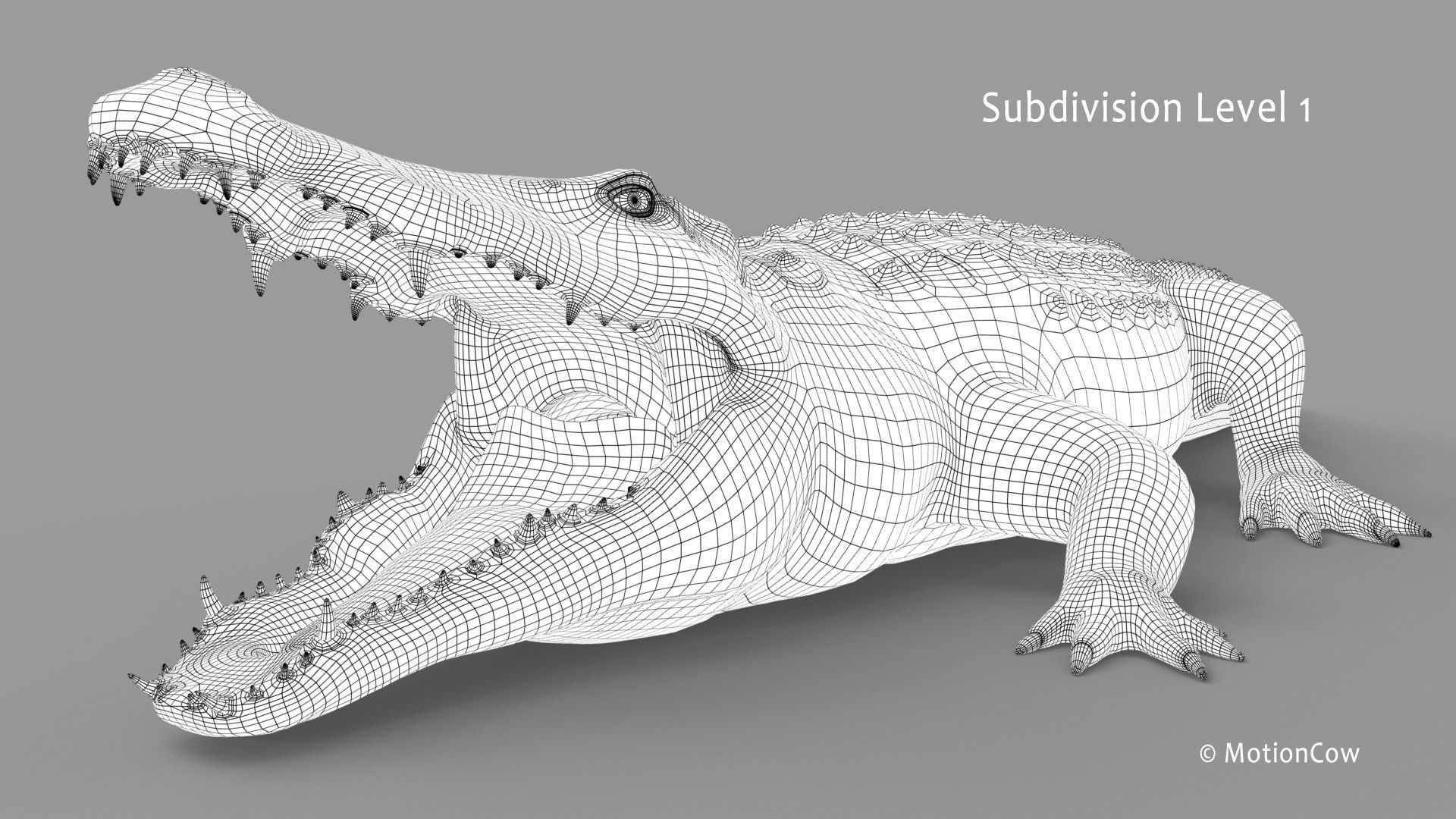 Crocodile PRO 3D model_32