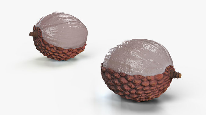 Half Peeled Lychee Pink 3D model 7