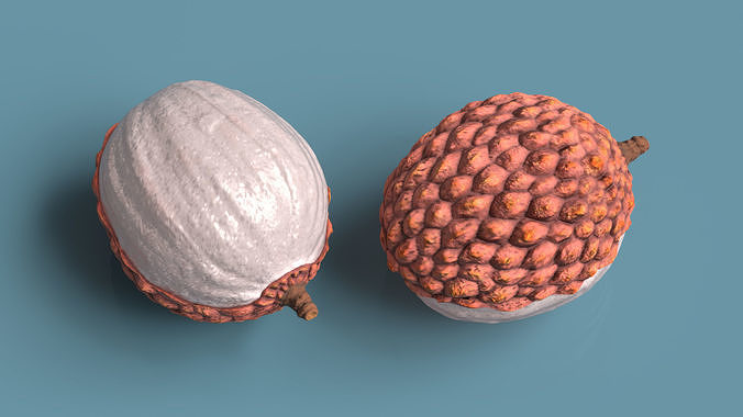 Half Peeled Lychee Pink 3D model 3