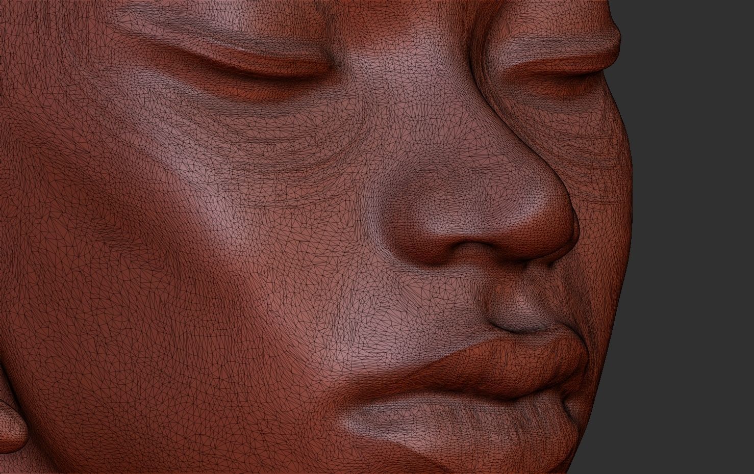 Decorative statuette- bust of an African girl 3D print model_8