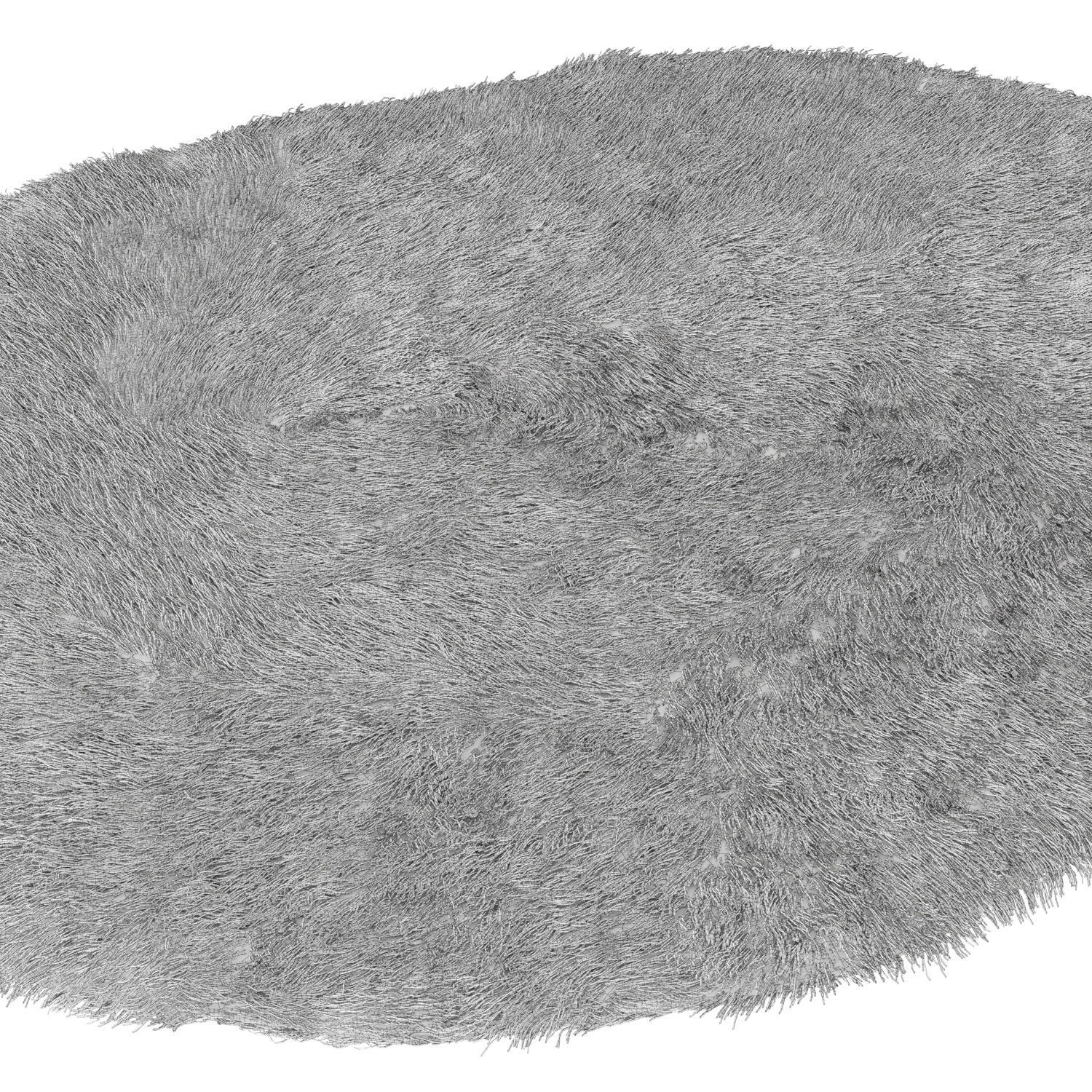 Kivi rug 3D model_6
