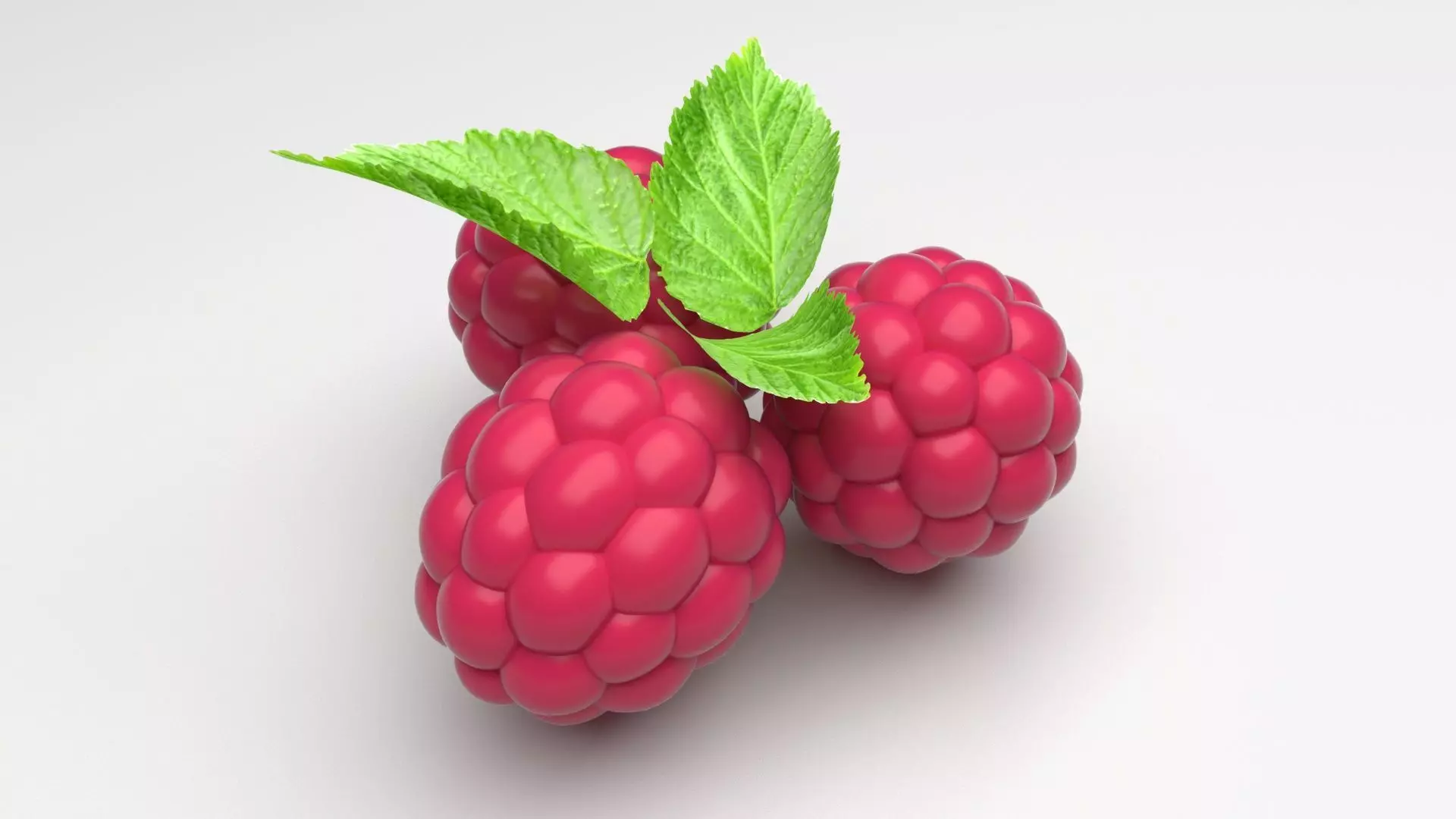 Raspberries With Leaves 3D model_0