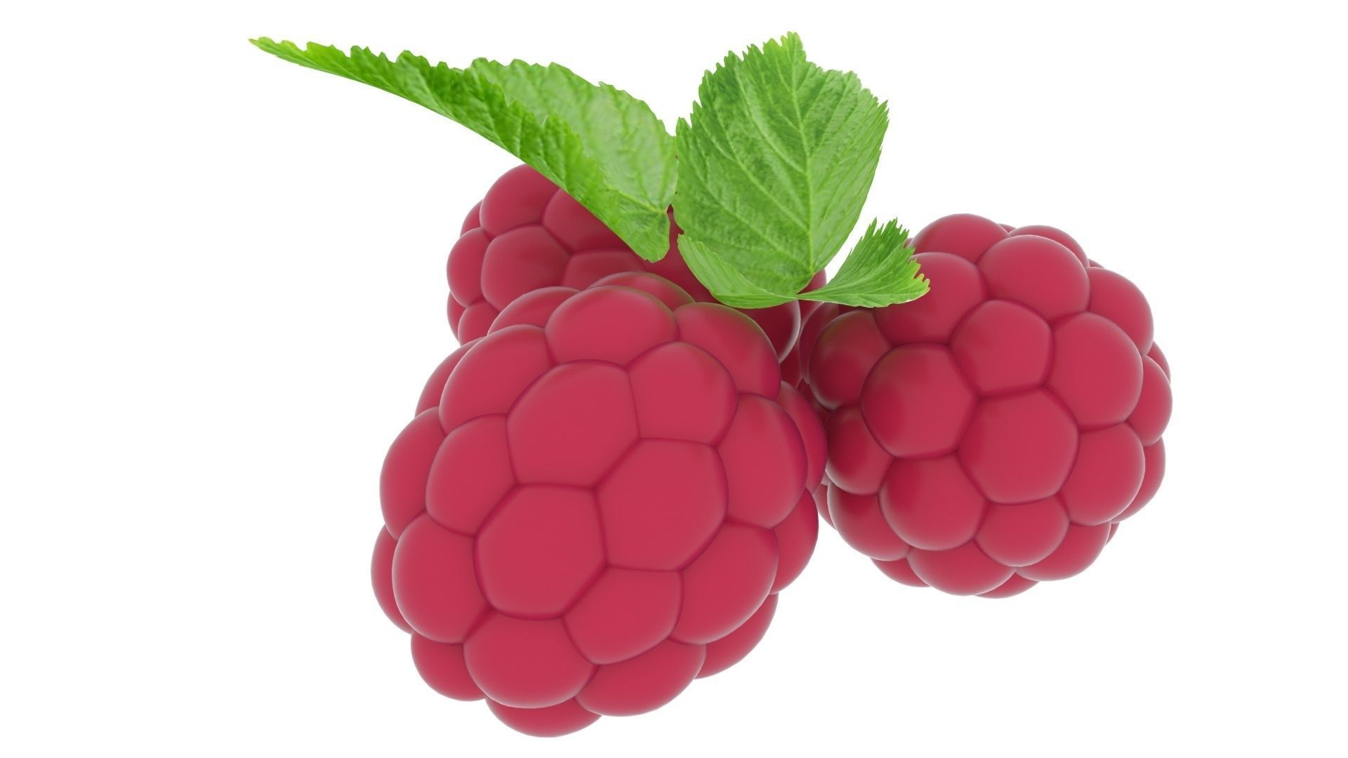 Raspberries With Leaves 3D model_7