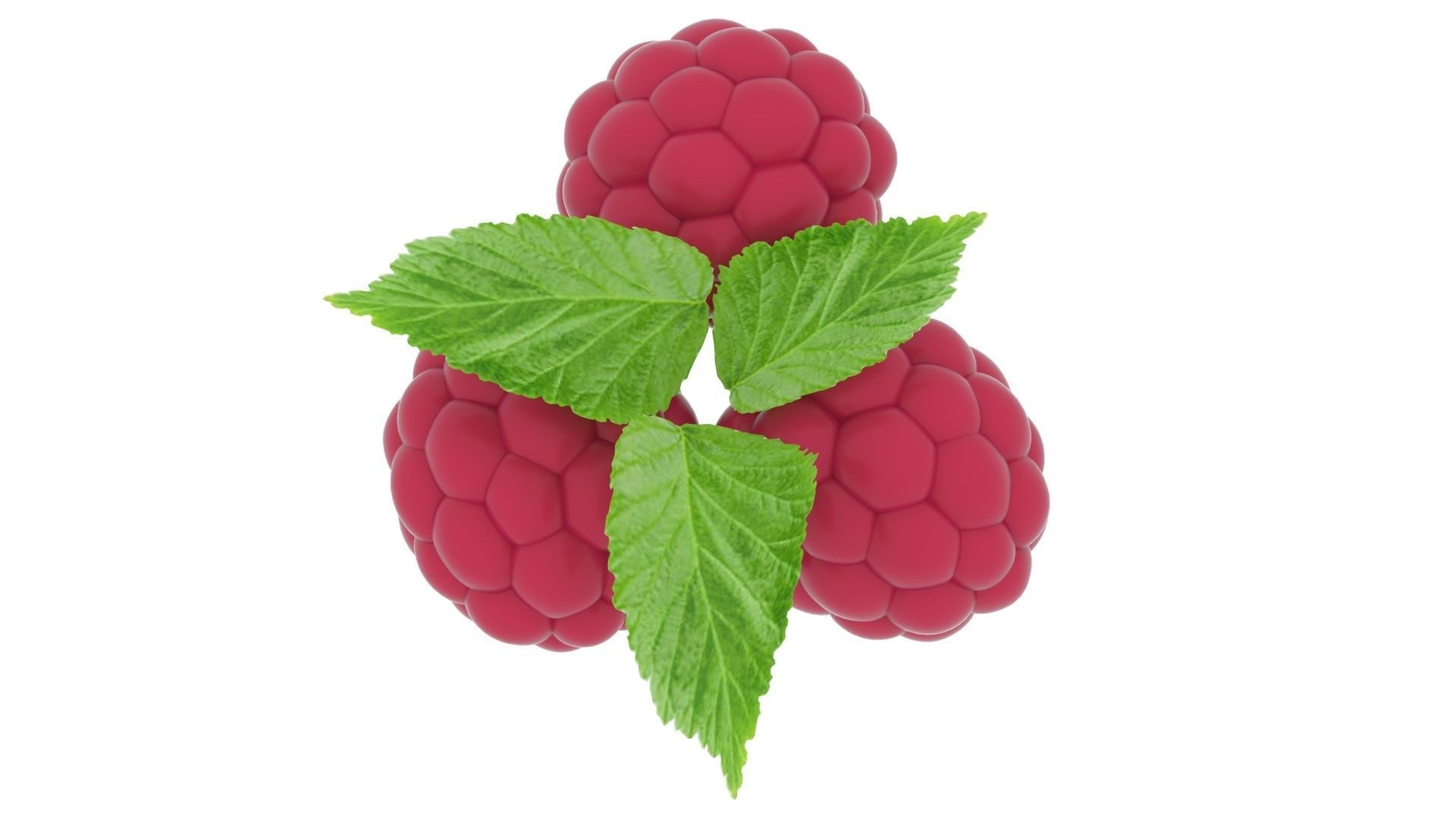 Raspberries With Leaves 3D model_10